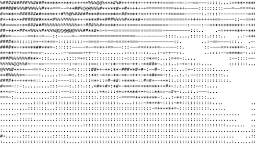 NVB_FLY-GIF_02